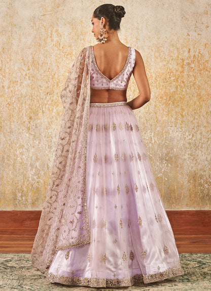 Lilac Embroidered Lehenga